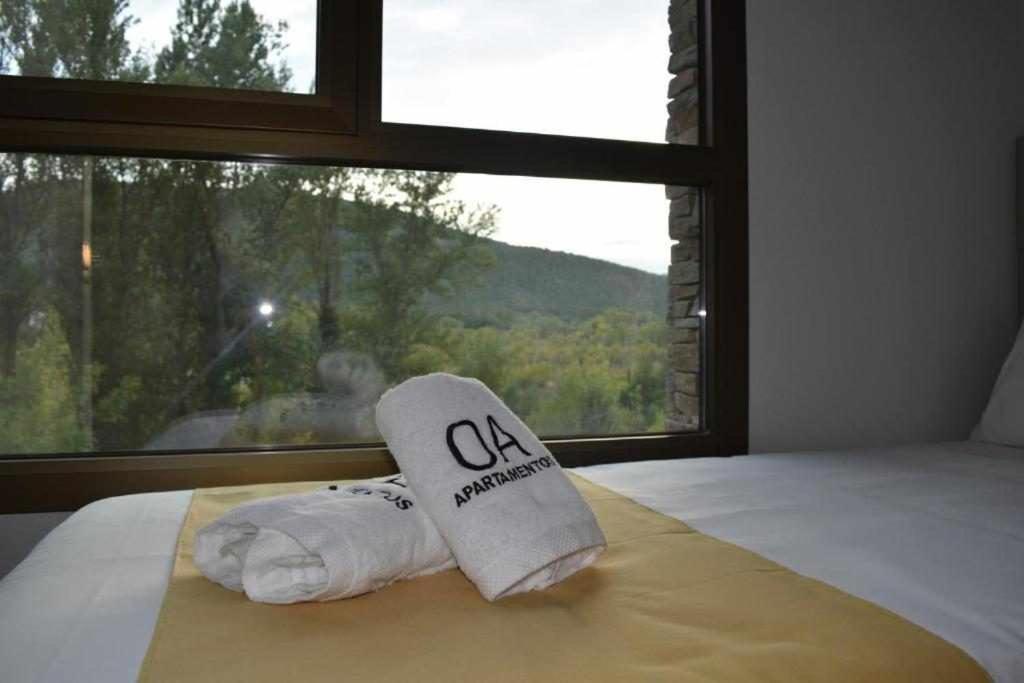 Apartamentos Ordesa Ainsa Room photo