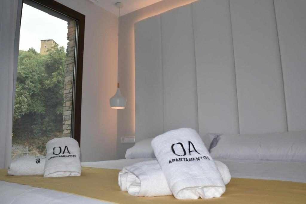 Apartamentos Ordesa Ainsa Room photo